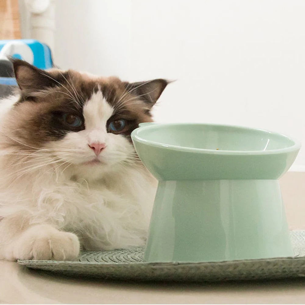 Tilted Cat Food Bowl Elevated Cat Bowl Ergonomic Cat Food Dish Anti Vomiting Plastic Feeding Bowl Non Slip for Flat- Faced Cats